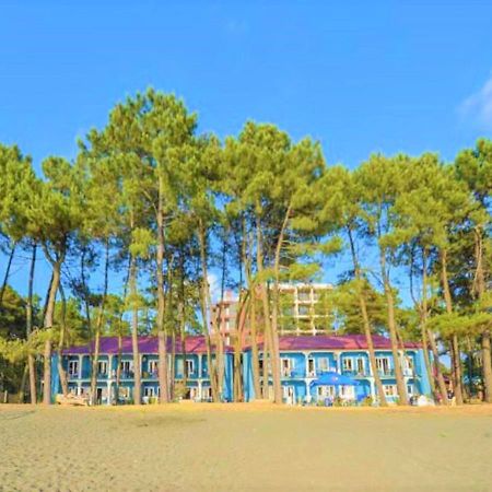 Evrika Hotel Shekvetili ภายนอก รูปภาพ
