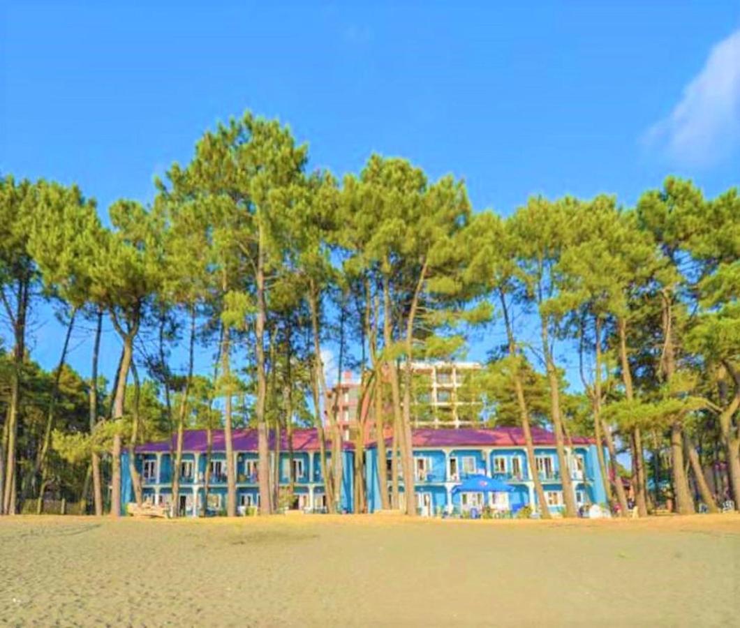 Evrika Hotel Shekvetili ภายนอก รูปภาพ