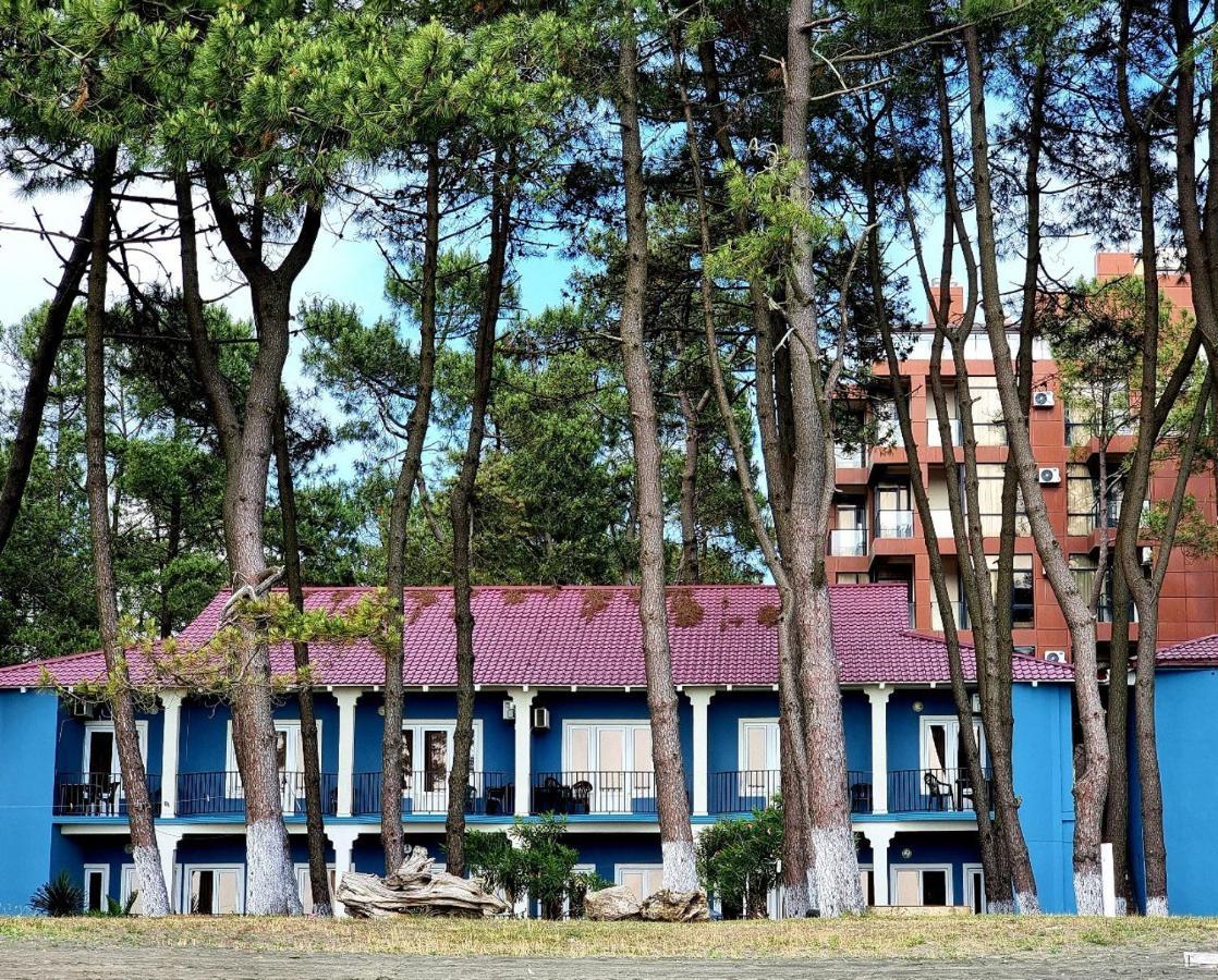 Evrika Hotel Shekvetili ภายนอก รูปภาพ